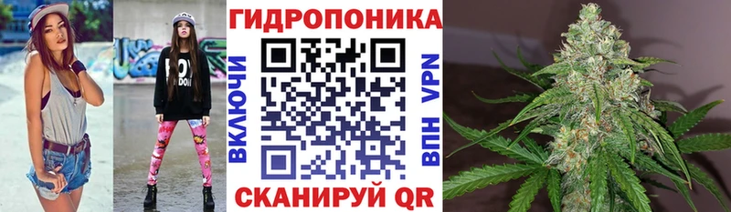 наркошоп  Тарко-Сале  Шишки марихуана семена 